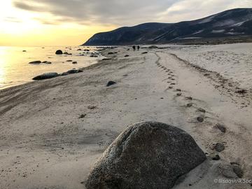 Michael Moloney and Matthew Ayre travelling back up the beach before last light. The team only had twp short days to survey the site in 2019.