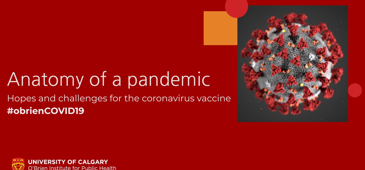 Anatomy of a pandemic