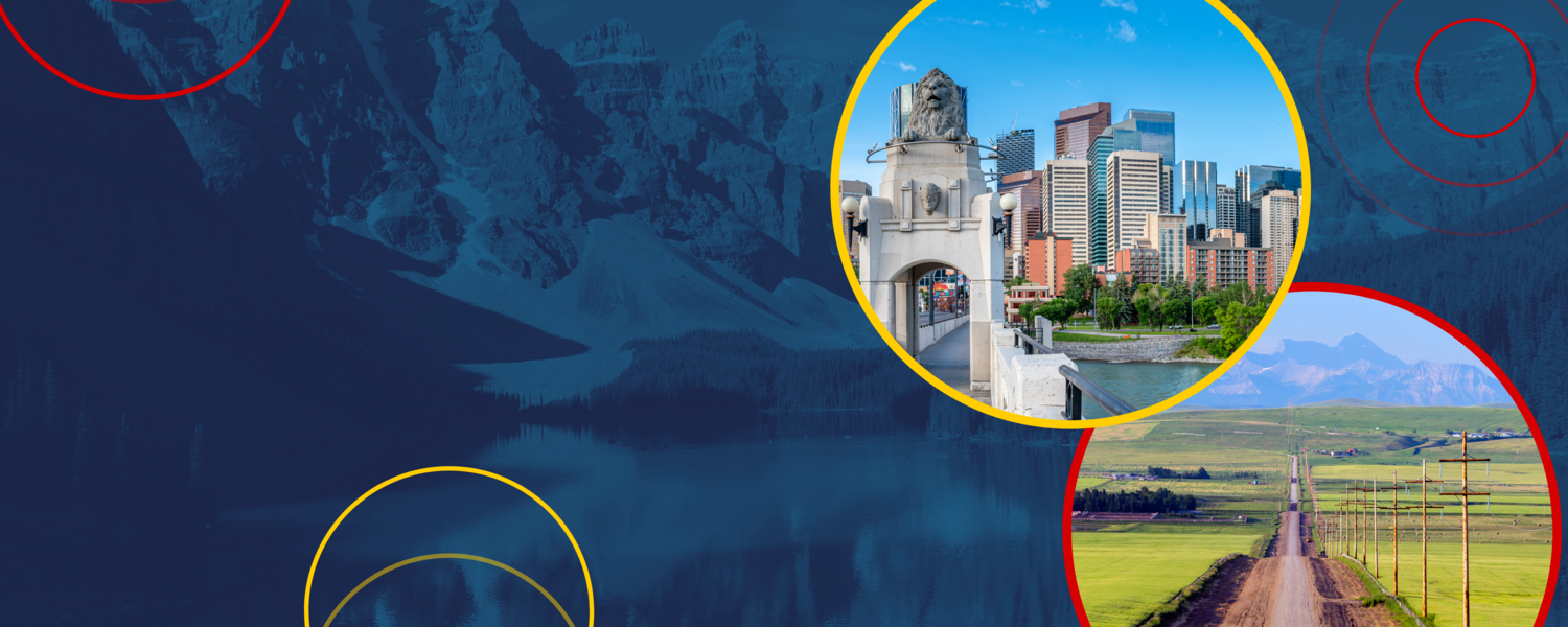 health policy briefs