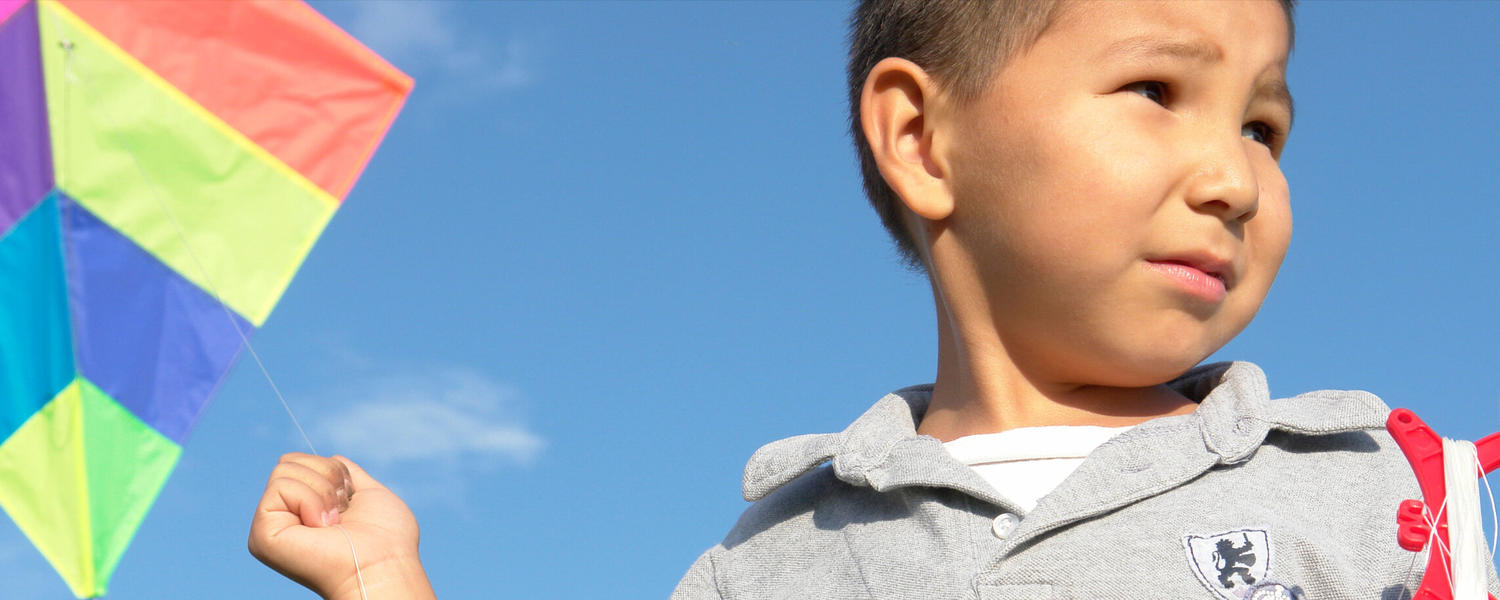 Boy flying a kite