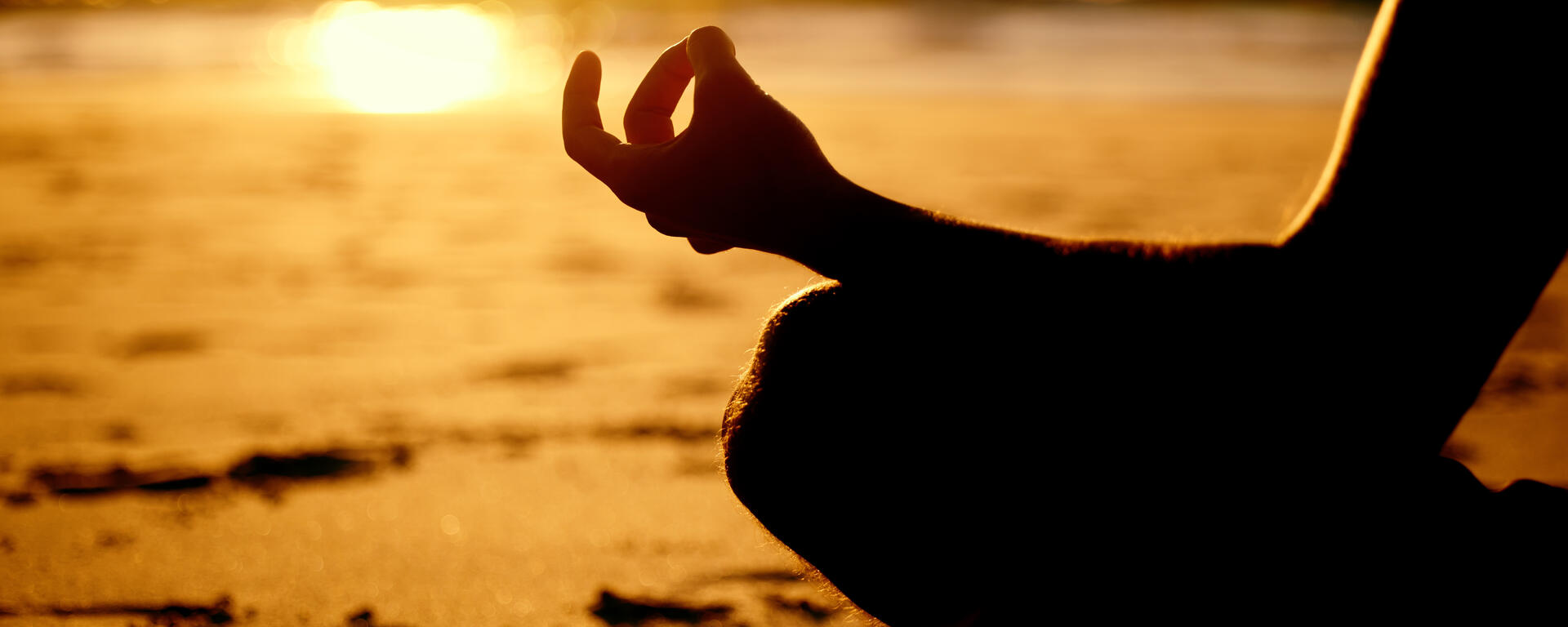 close up of lotus pose
