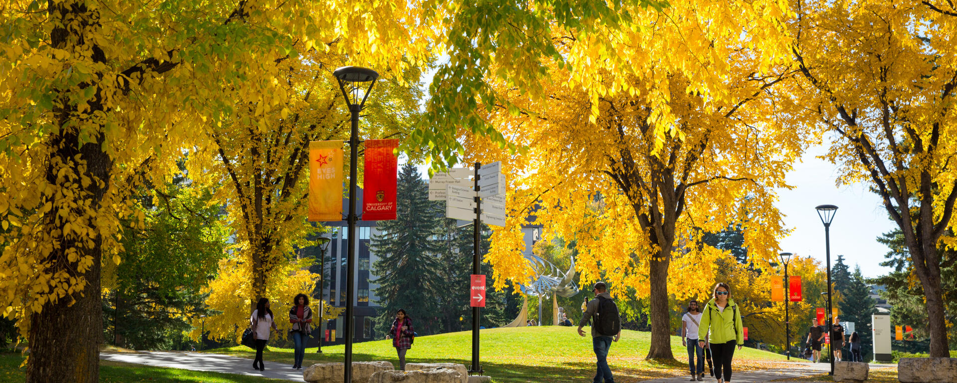 Sunny UCalgary campus. Yellow trees.