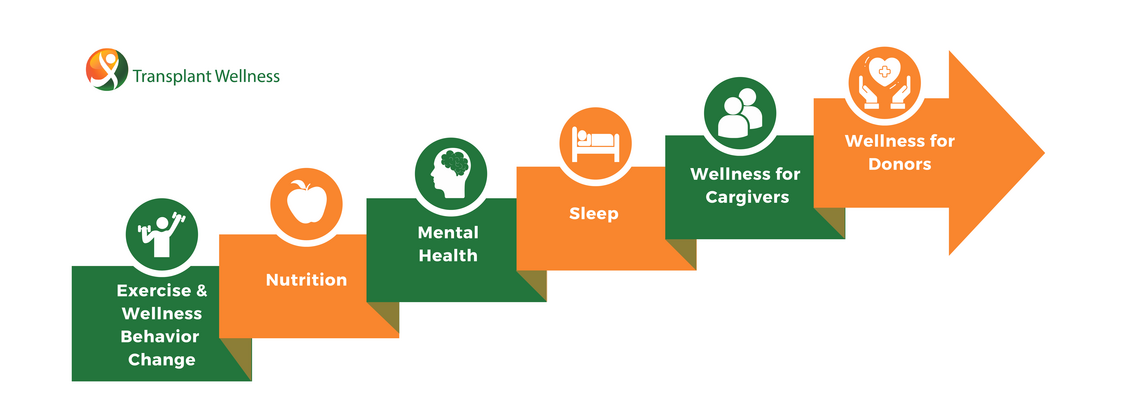 image of a stepwise approach to building a transplant wellness program