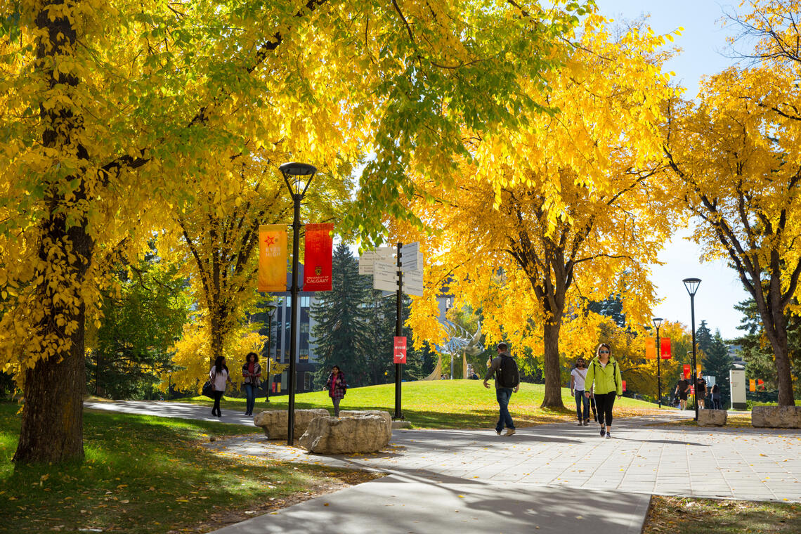 University of Calgary main campus in autumn