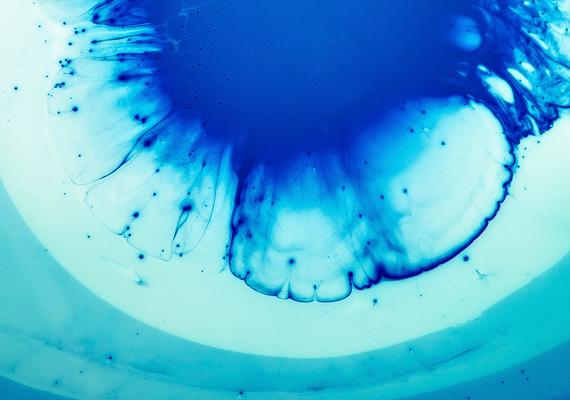 blue