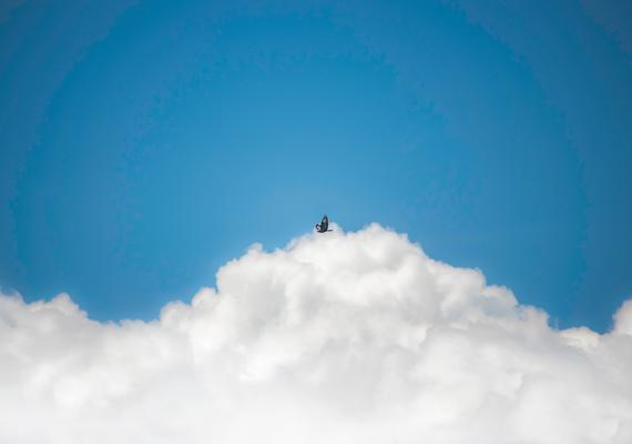 Bird flying over clouds