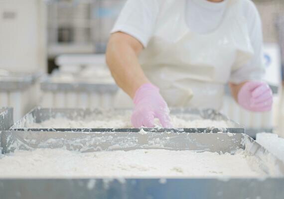 food safety