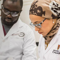 Students working in a lab